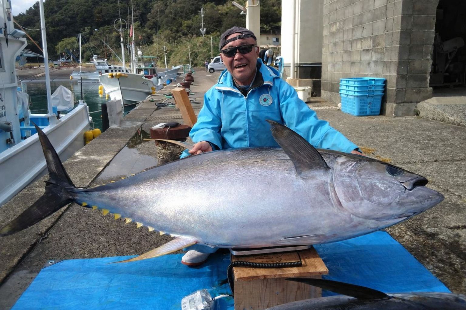 マグロ電気ショッカー